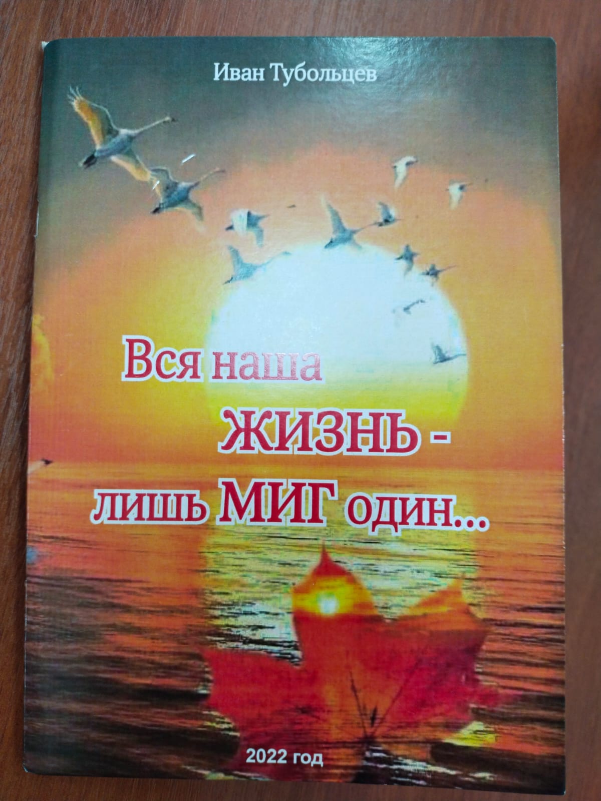 IMG 20221217 WA0056